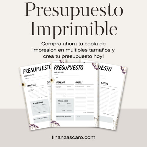 HOJA DE PRESUPUESTO MENSUAL